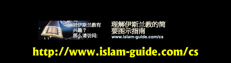 Islam Guide In Chinese